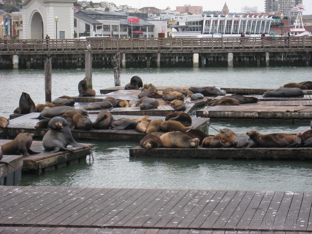 2011 Bay 2 Breakers Saturday 0305.JPG - I was able to participate in the 2011, 100th anniversary of the San Francisco Bay to Breakers 12K race. A great weekend for sight seeing and racing.
